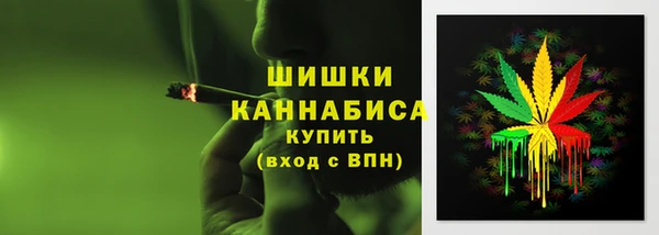 СК Арсеньев