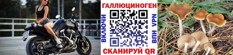 Псилоцибиновые грибы мицелий  дарнет шоп  darknet Telegram  Венёв 